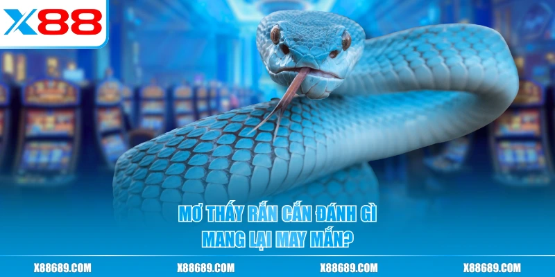 Mơ thấy rắn cắn đánh gì mang lại may mắn?